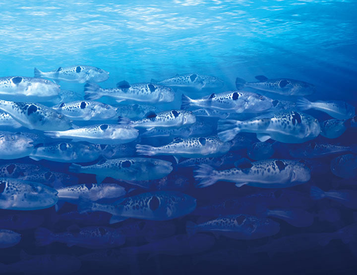 long8-龙8(国际)唯一官方网站