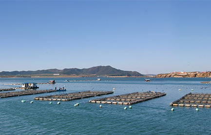 long8-龙8(国际)唯一官方网站